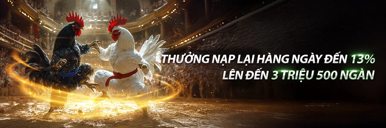 Đá Gà Trực Tuyến HL88