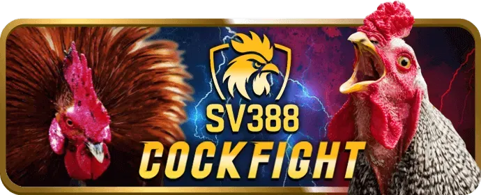 Hỗ Trợ Khách Hàng HL88
